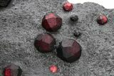 Plate of Eighteen Red Embers Garnets in Graphite - Massachusetts #225930-3